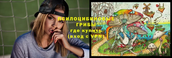 прущая мука Армянск