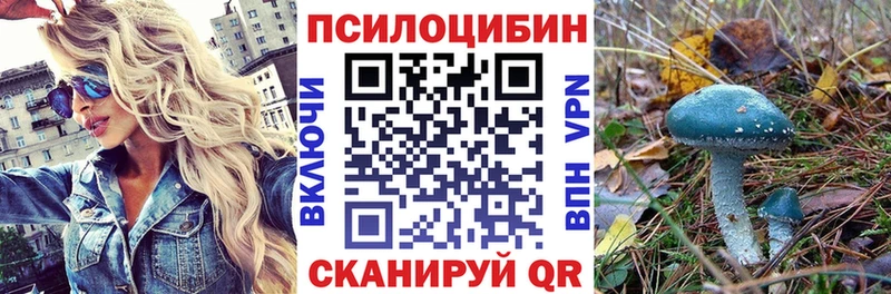 маркетплейс Telegram Углегорск Галлюциногенные грибы Cubensis